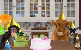Birthday Celebration pet ecard