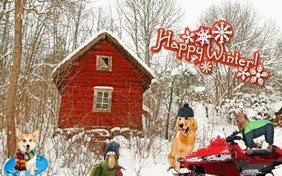 Happy Winter ecard with pets
