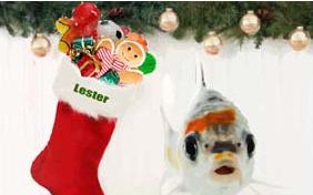 A Magical Christmas pet ecard