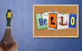 Hello Pet Ecard