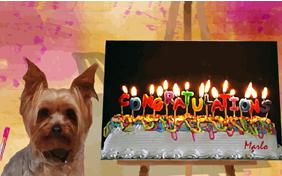 Congratulations ecard with dogs