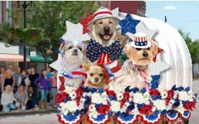 Memorial Day Parade dog ecard