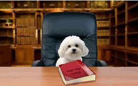 Life is Good dog ecard