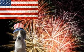 Fourth of July ecard with dogs
