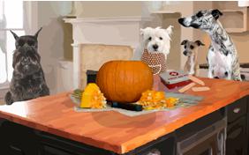 Pumpkin Carving Lesson Halloween dog ecard