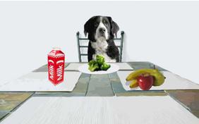 New Year's Resolutions ecard with dogs