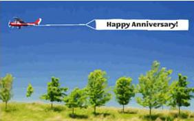 Happy Anniversary Wishes cat ecard