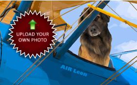 Happy Birthday Four Ways photo upload ecard with dogs