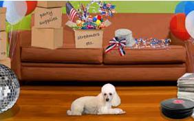 July 4th Wishes ecard with dogs