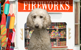 Happy New Year Four Ways photo upload ecard with dogs