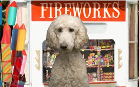 Happy New Year Four Ways ecard with dogs