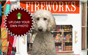 Happy New Year Four Ways photo upload ecard with dogs