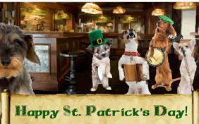 St. Patrick's Day Fun dog ecard