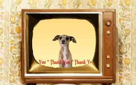 Thank You Four Ways photo upload dog ecard