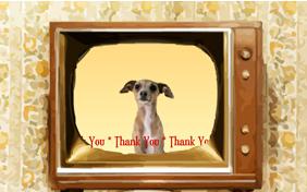 Thank You Four Ways ecard with dogs