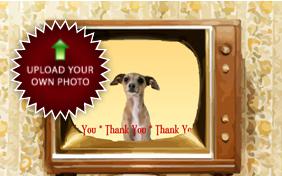 Thank You Four Ways photo upload dog ecard
