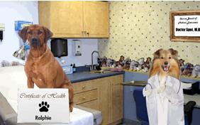 L'Shana Tova Rosh Hashanah dog ecard