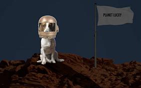 You're Out Of This World: New Year ecard with dogs