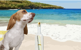 A Special Message photo upload dog ecard
