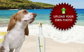 A Special Message photo upload dog ecard