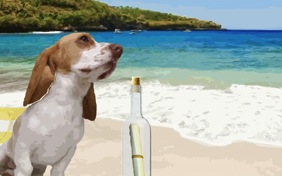 A Special Message dog ecard