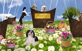 Happy Spring dog ecard