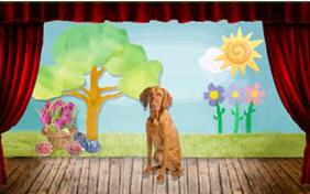 It's Just Me: Easter Edition dog ecard