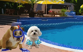 Happy Summer dog ecard