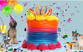 Birthday Surprise ecard with dogs