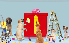 A Get Well Surprise two dog ecard