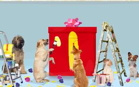 Thank You Surprise dog ecard