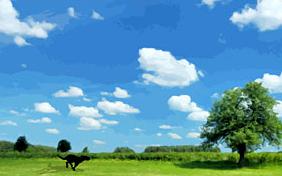 A Brighter Day ecard with dogs