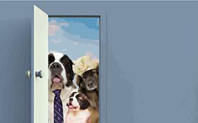 Thanksgiving Day ecard with dogs
