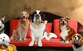 Thanksgiving Wishes ecard with dogs