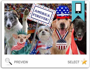 America Furever July Fourth dog ecard