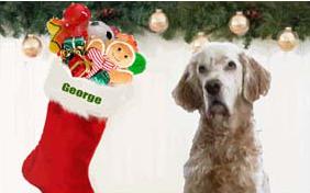 A Magical Christmas dog ecard
