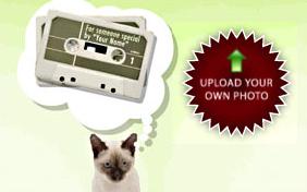 A Picture For You ecard with cats