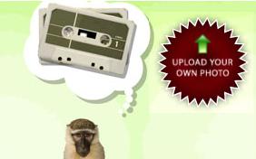 A Picture For You pet ecard